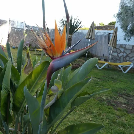 Apartamentos Self Catering Vilaflor *
